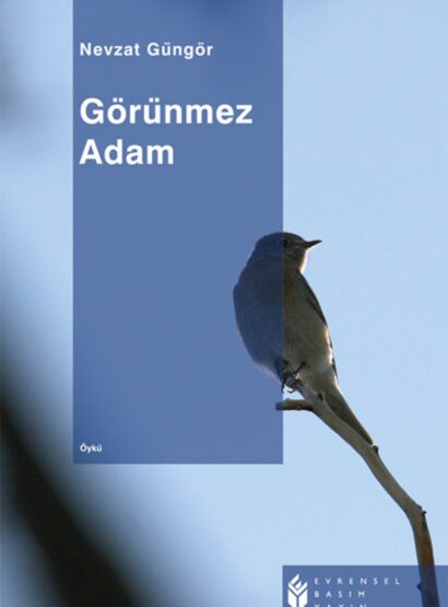 Görünmez Adam