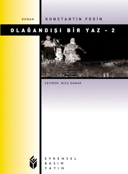 Olağandışı Bir Yaz 2. Cilt