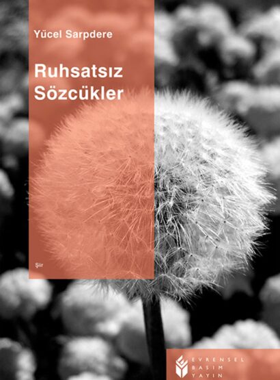 Ruhsatsız Sözcükler