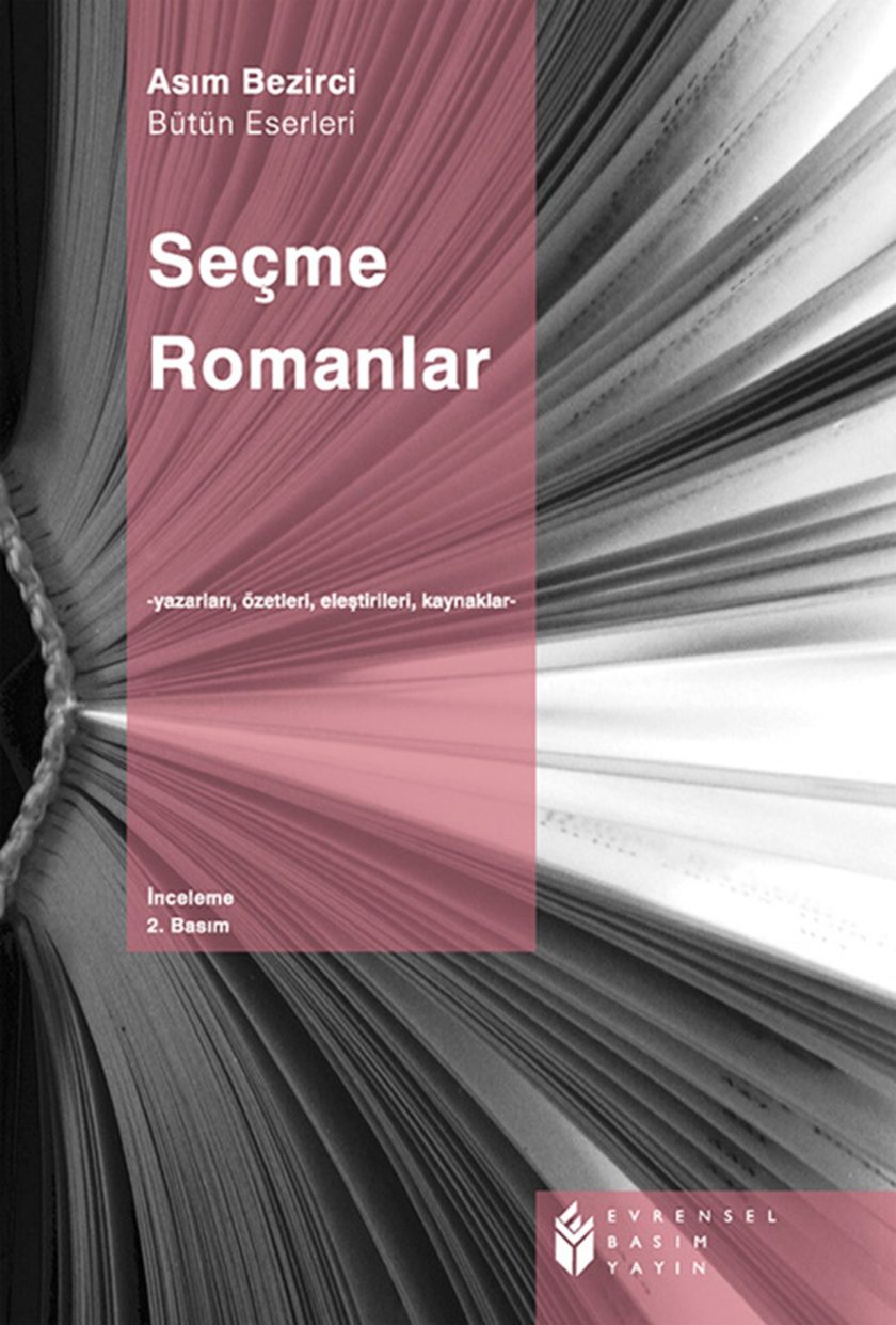 Seçme Romanlar